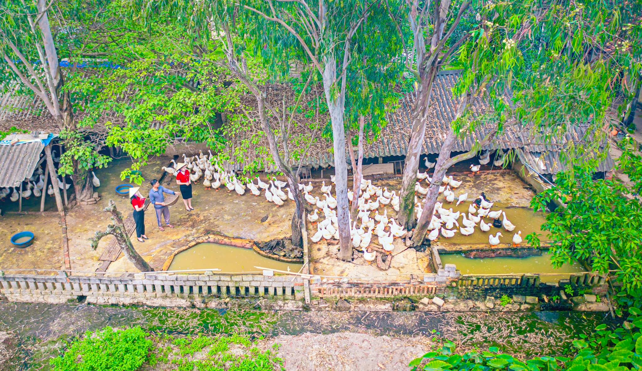 Hình ảnh: Top 10 Ngân hàng ESG Việt Nam 2026: Dấu ấn Agribank số 2