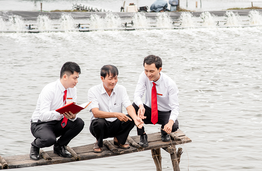 Hình ảnh: Agribank thúc đẩy phát triển chuỗi liên kết nông nghiệp an toàn số 3