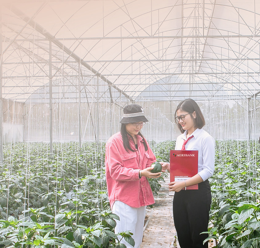 Vay vốn Agribank