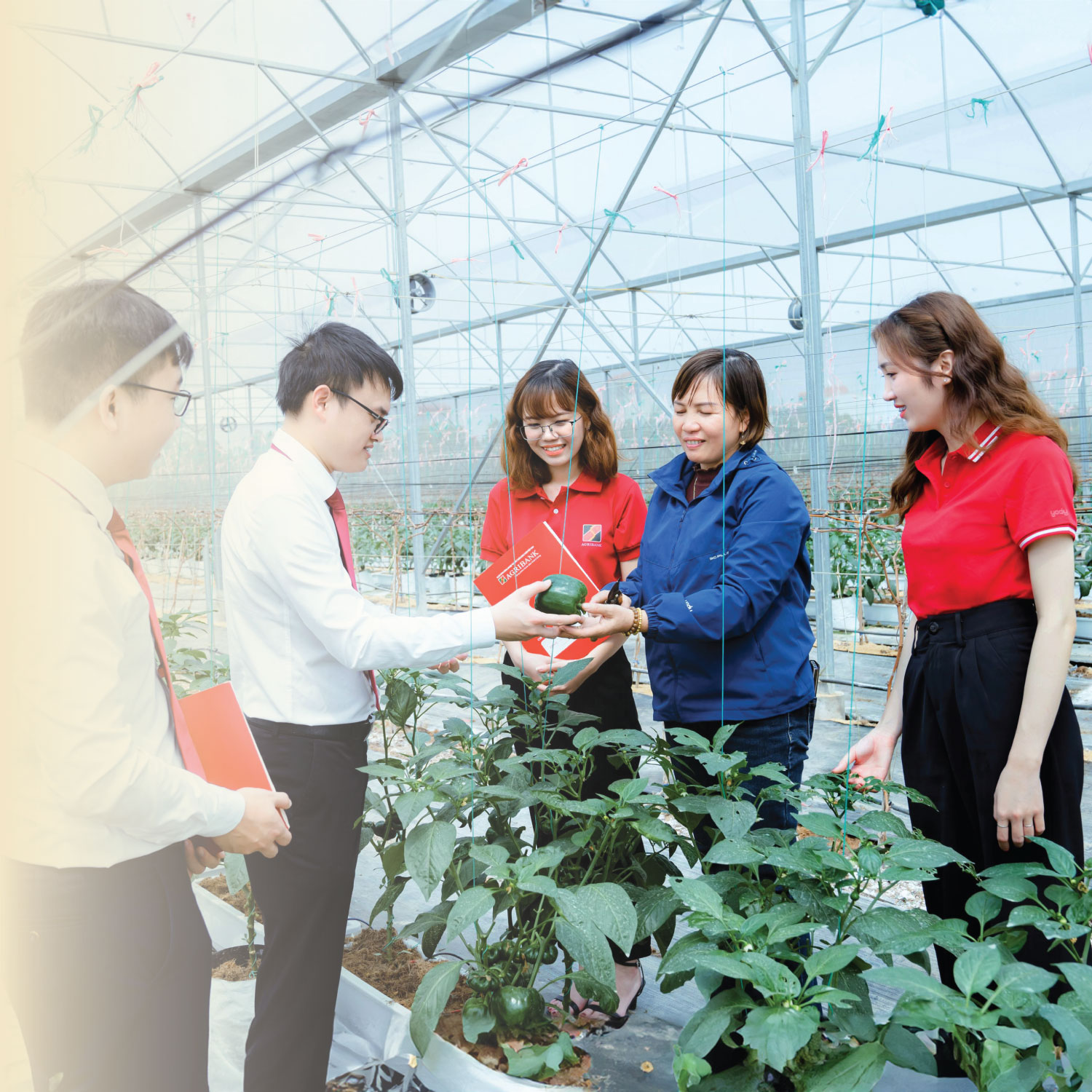 Vay vốn Agribank